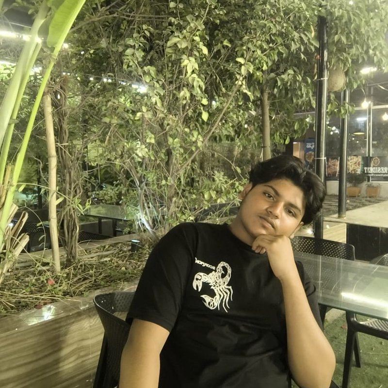 Amir Hamza